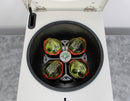 Thermo Scientific Sorvall ST16 Benchtop Centrifuge with Rotor