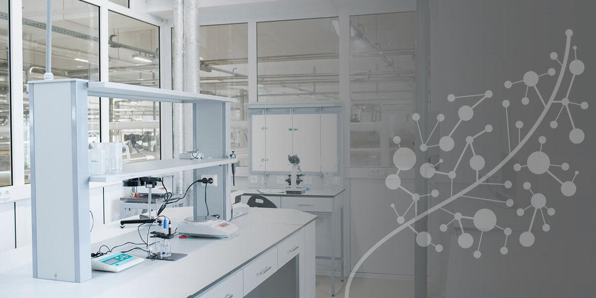 Lab Recess A Guide to Planning Your Laboratory Layout