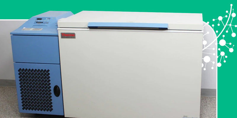 Who Invented Freezers: The Genius Behind Cold Storage Innovation