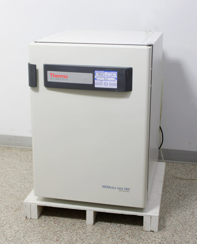 Thermo Scientific HERAcell vios 160i Stainless Steel CO2 Incubator with Shelves