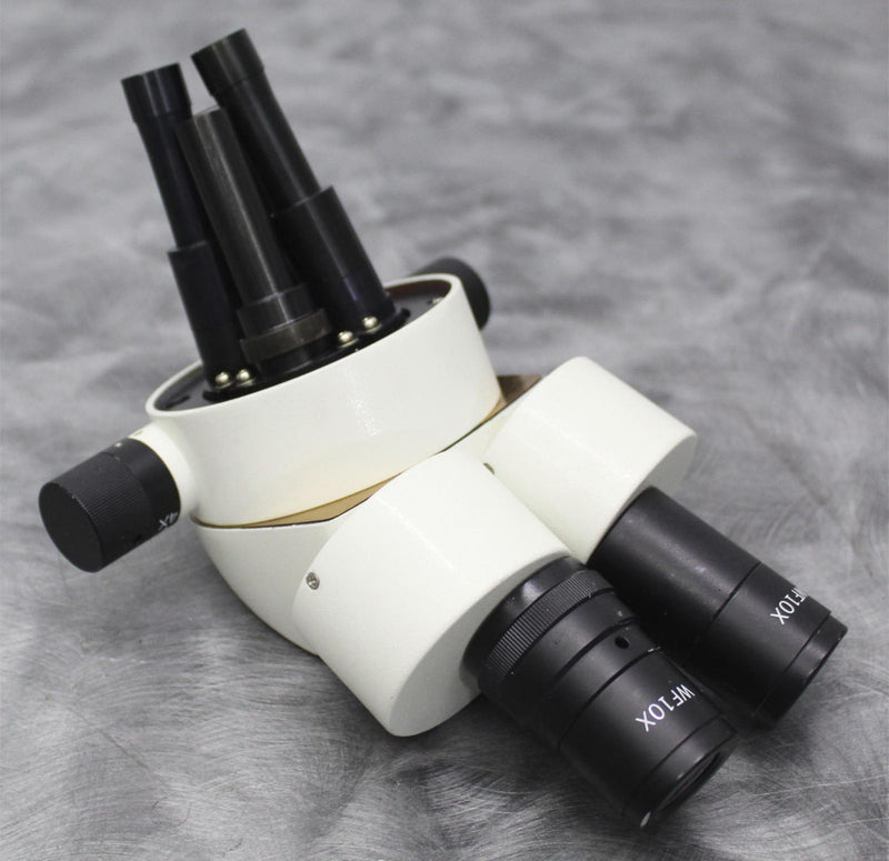 Fisher Stereomaster Microscope Binocular Head 10x with 4 Objectives 12-562-13