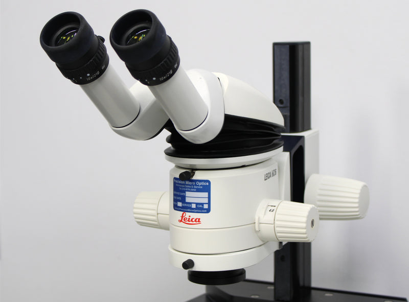 Leica MZ6 Microscope and Transmitted-Light Base with Intralux 5100 Light Source