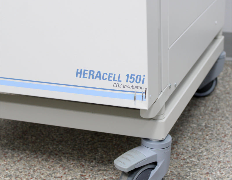 Thermo Scientific HERAcell 150i GP CO2 Incubators Paint Scratch