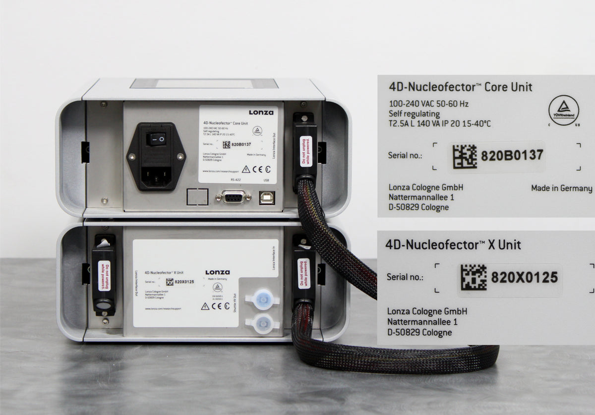 56864731_06fef750-e664-4999-