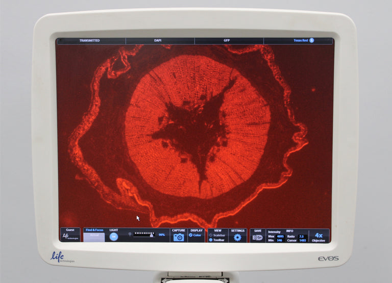 Thermo Invitrogen EVOS FL AMF4300 Digital Inverted Fluorescence Microscope