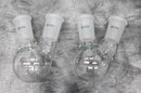 x2 Chemglass CG1518-01 2-Neck Round Bottom 100mL Flasks 24/40 Joint