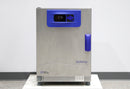 Fisher Scientific Isotemp Microbiological Incubator