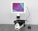Thermo Invitrogen EVOS XL Core Configured Cell Imager with Mechanical Stage