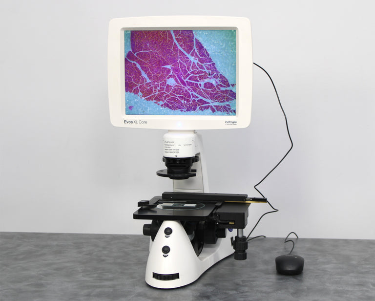 Thermo Invitrogen EVOS XL Core Configured Cell Imager with Mechanical Stage