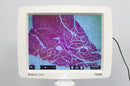 Thermo Invitrogen EVOS XL Core Configured Cell Imager with Mechanical Stage