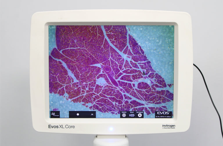 Thermo Invitrogen EVOS XL Core Configured Cell Imager with Mechanical Stage
