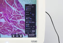 Thermo Invitrogen EVOS XL Core Configured Cell Imager with Mechanical Stage