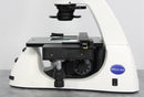 Thermo Invitrogen EVOS XL Core Configured Cell Imager with Mechanical Stage