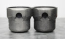 x2 Thermo Scientific Centrifuge Rotor Buckets 750mL Autoclavable 75003608