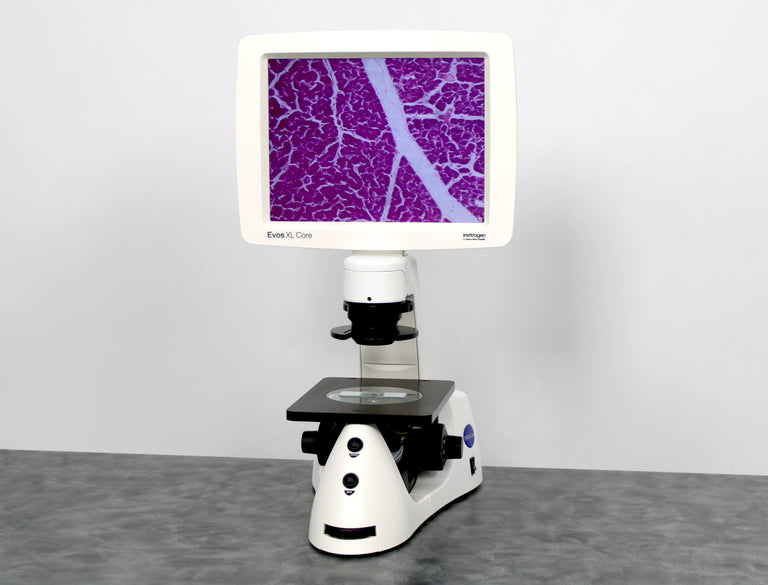 Thermo Invitrogen EVOS XL Core Configured Cell Imager with Universal Fixed Stage