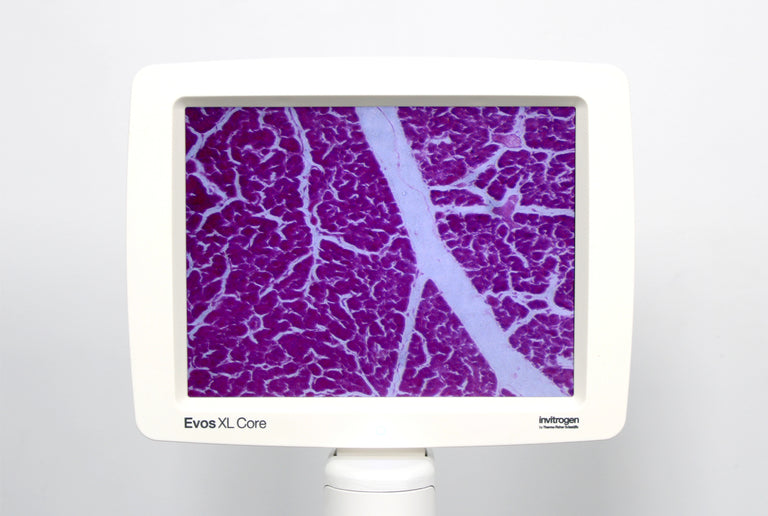 Thermo Invitrogen EVOS XL Core Configured Cell Imager with Universal Fixed Stage