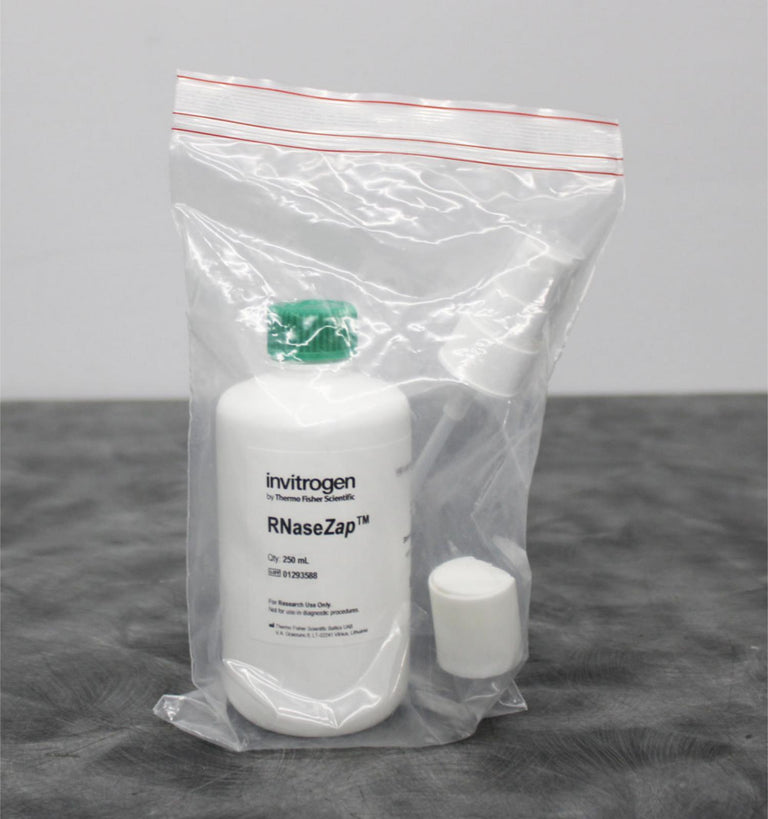 Invitrogen RNaseZap RNase Decontamination Solution 250mL AM9780 Thermo Fisher
