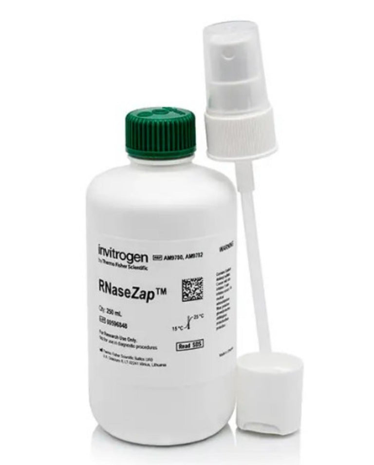 Invitrogen RNaseZap RNase Decontamination Solution 250mL AM9780 Thermo Fisher