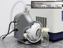GeneVac HT-4X Centrifugal Vacuum Evaporator 208V with Edwards XDS5 Scroll Pump
