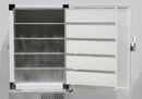 Thermo Scientific Revco RDE Series RDE60086FA ULT Ultra-Low Temperature Freezer