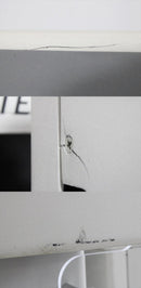 Biomek FXp Liquid Handler Paint Cracks