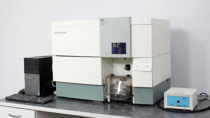 Becton Dickinson FACSCalibur Flow Cytometer w Cytek DxP Multi-Color