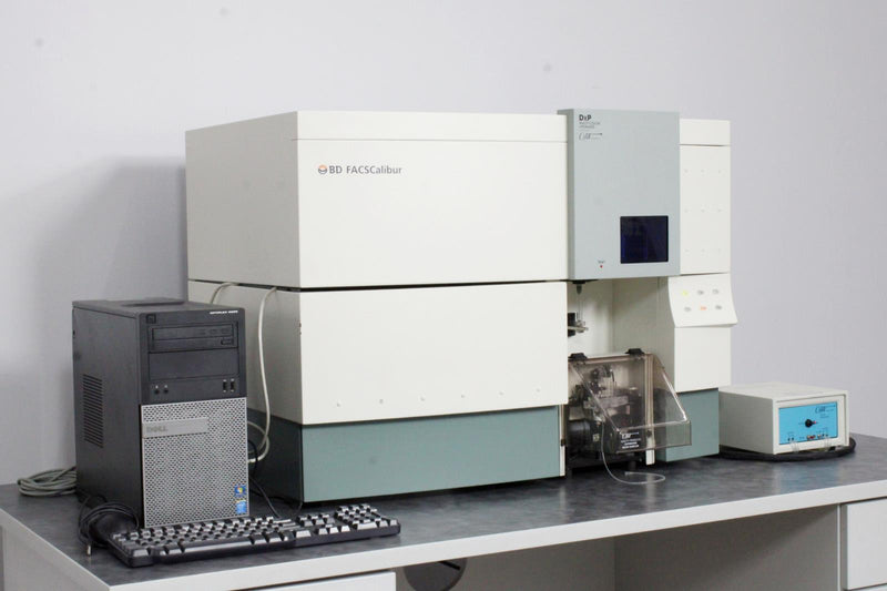 Becton Dickinson FACSCalibur Flow Cytometer w Cytek DxP Multi-Color